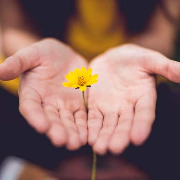 COMMUNITY CARE: Date un break con estas experiencias naturales y holísticas en SMA
