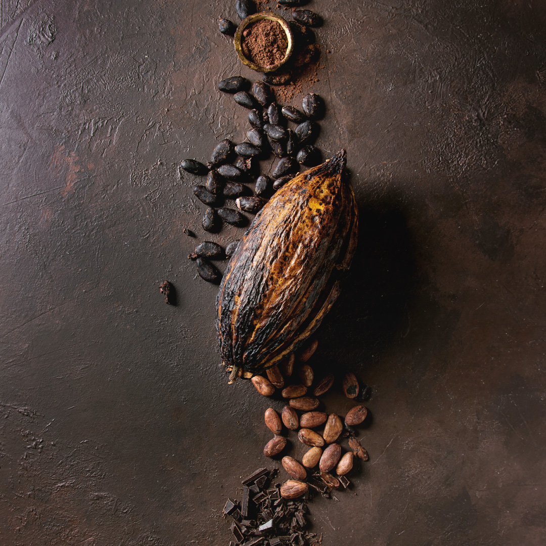 Día Mundial del CACAO en San Miguel