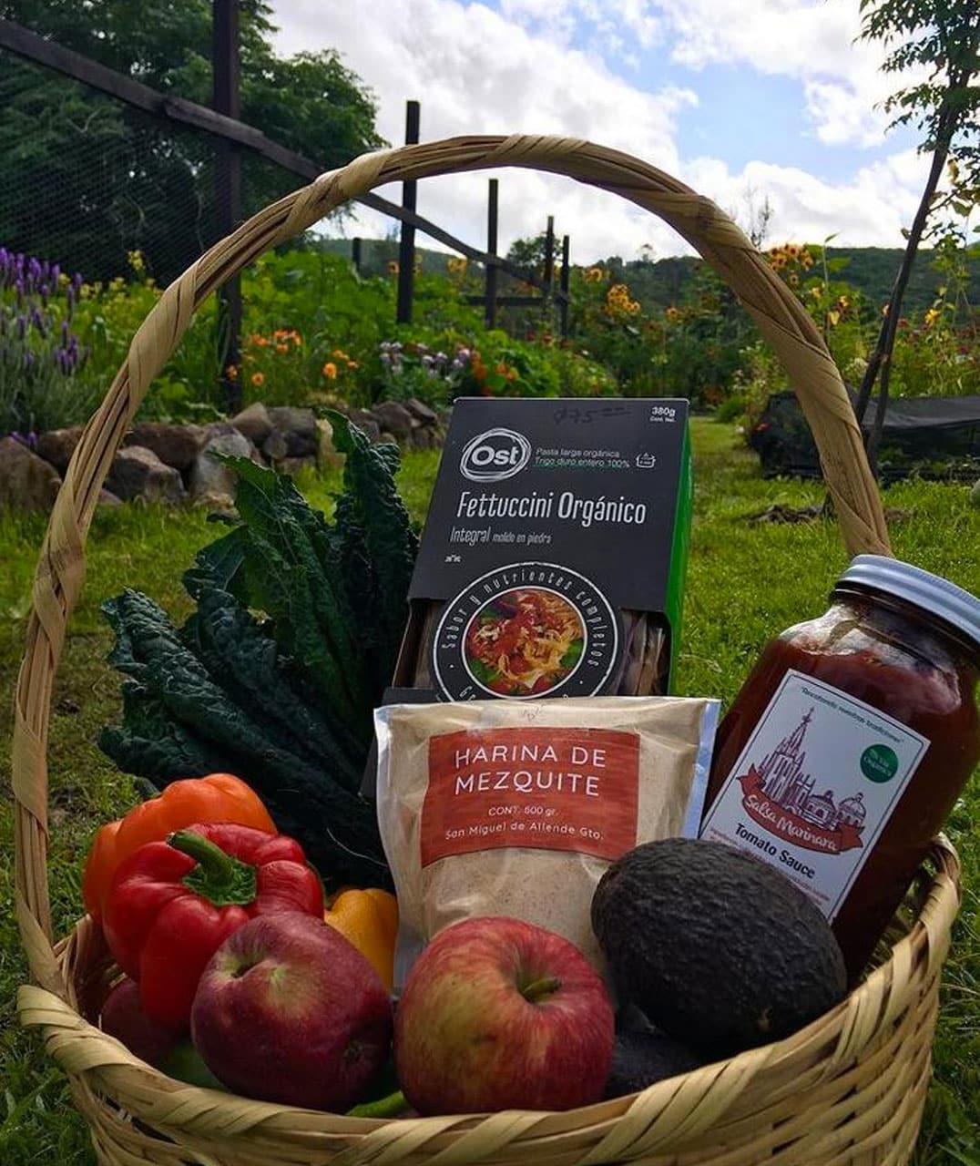 ERES LO QUE COMES: 15 lugares para comprar productos orgánicos en San Miguel