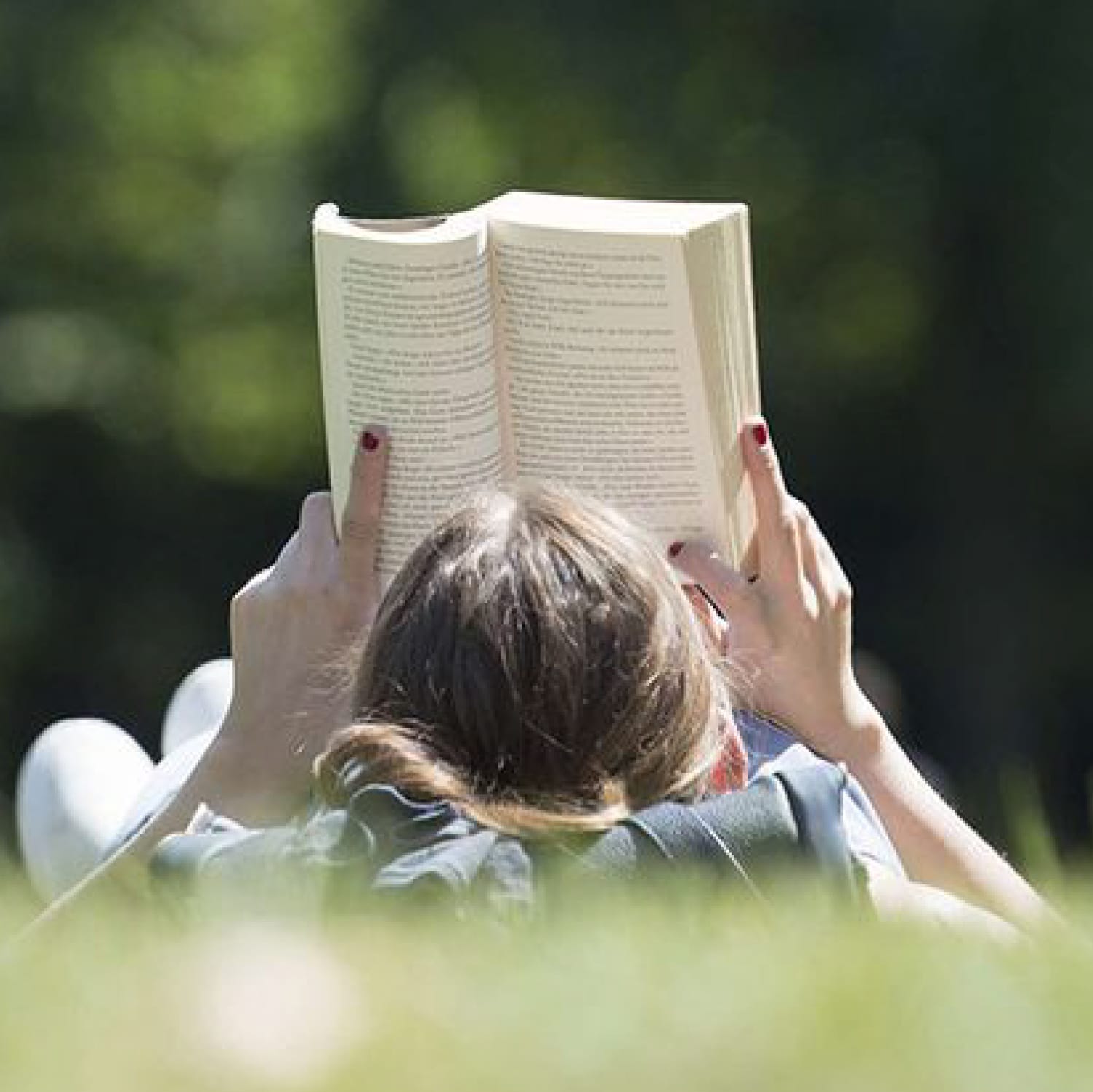 Inicia el 2023 leyendo