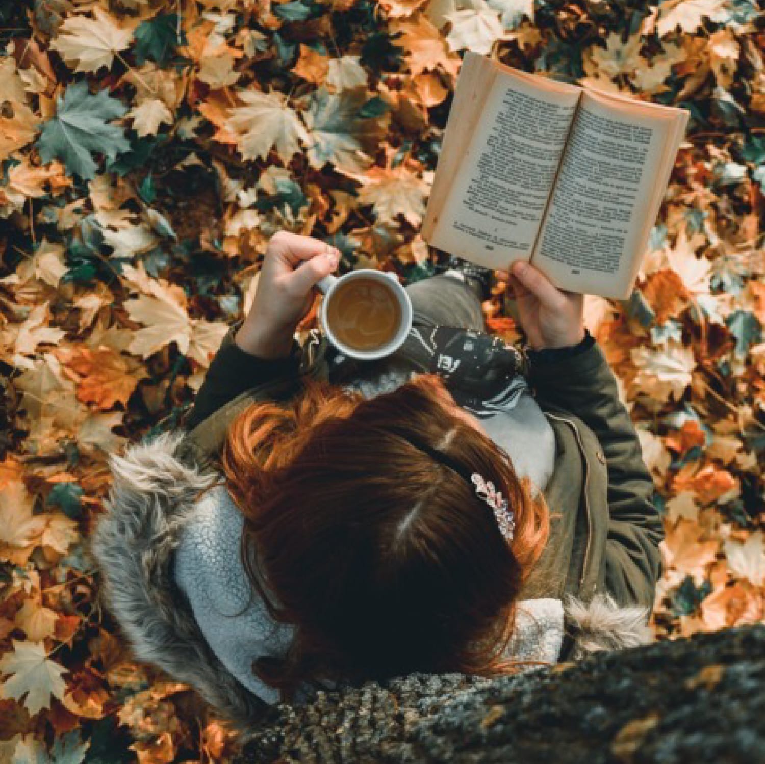 LIBROS para un Noviembre en SOLITARIO