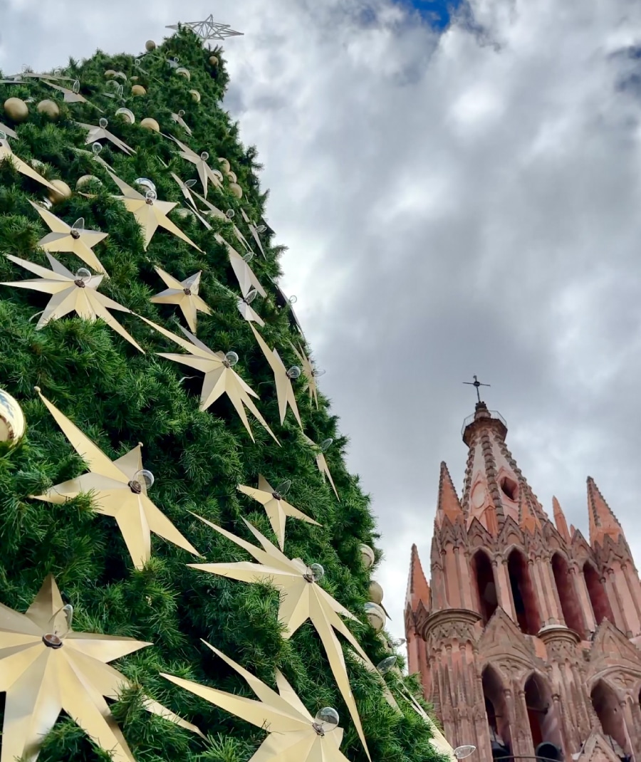 LOS IMPERDIBLES DE DICIEMBRE