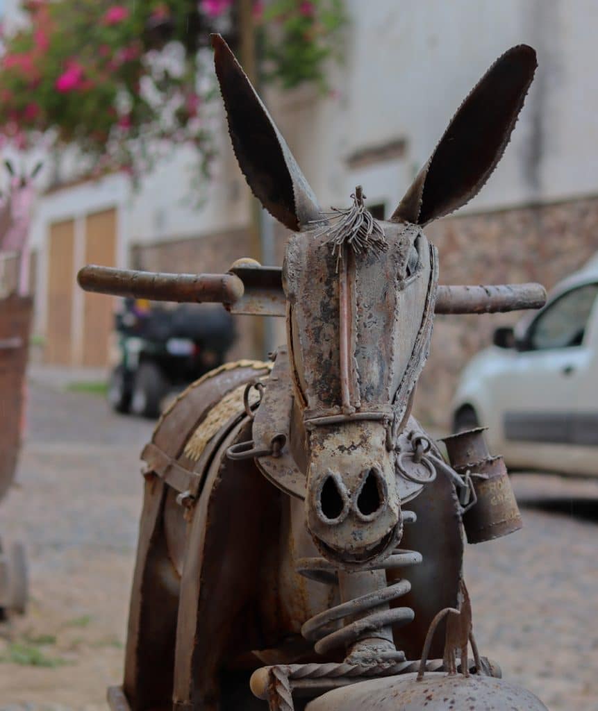 Colonia Guadalupe - Local SMA Guide by Bendita