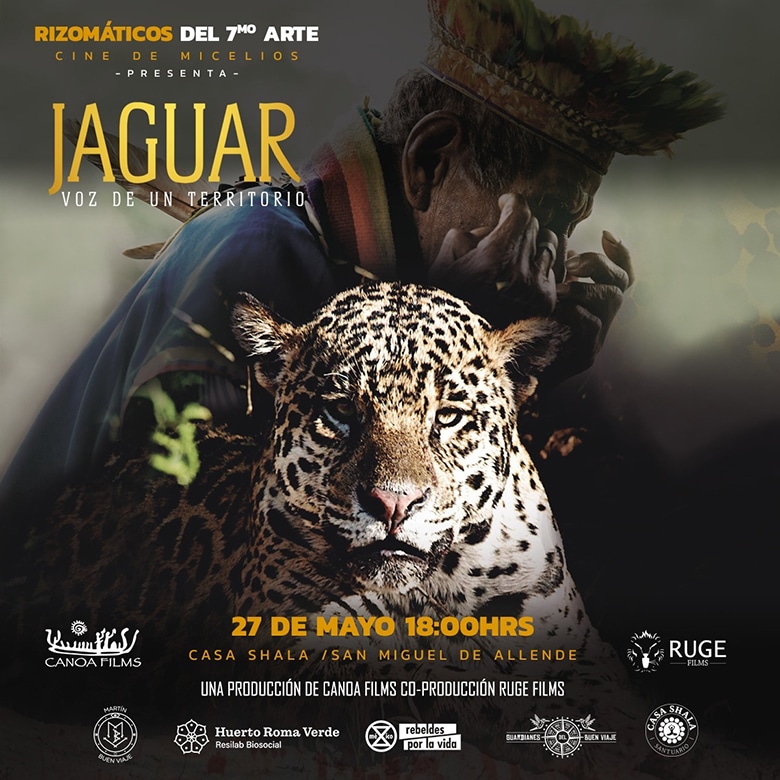 Jaguar Voz de un Territorio