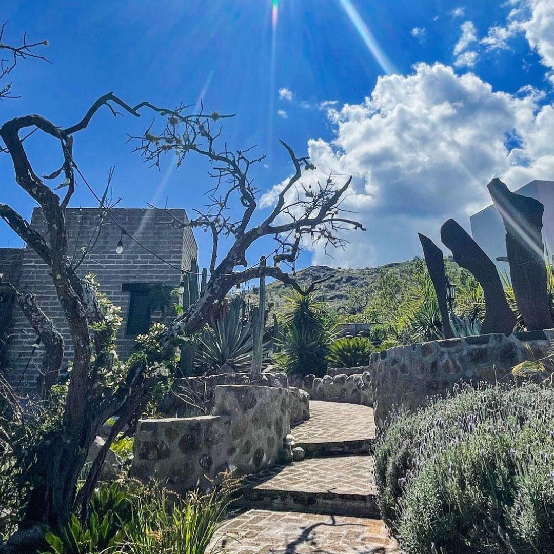 La ROMERÍA 8a edición - Local SMA Guide by Bendita